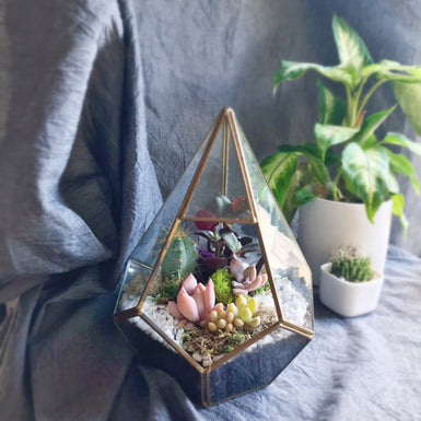 Tear Geometric Terrarium